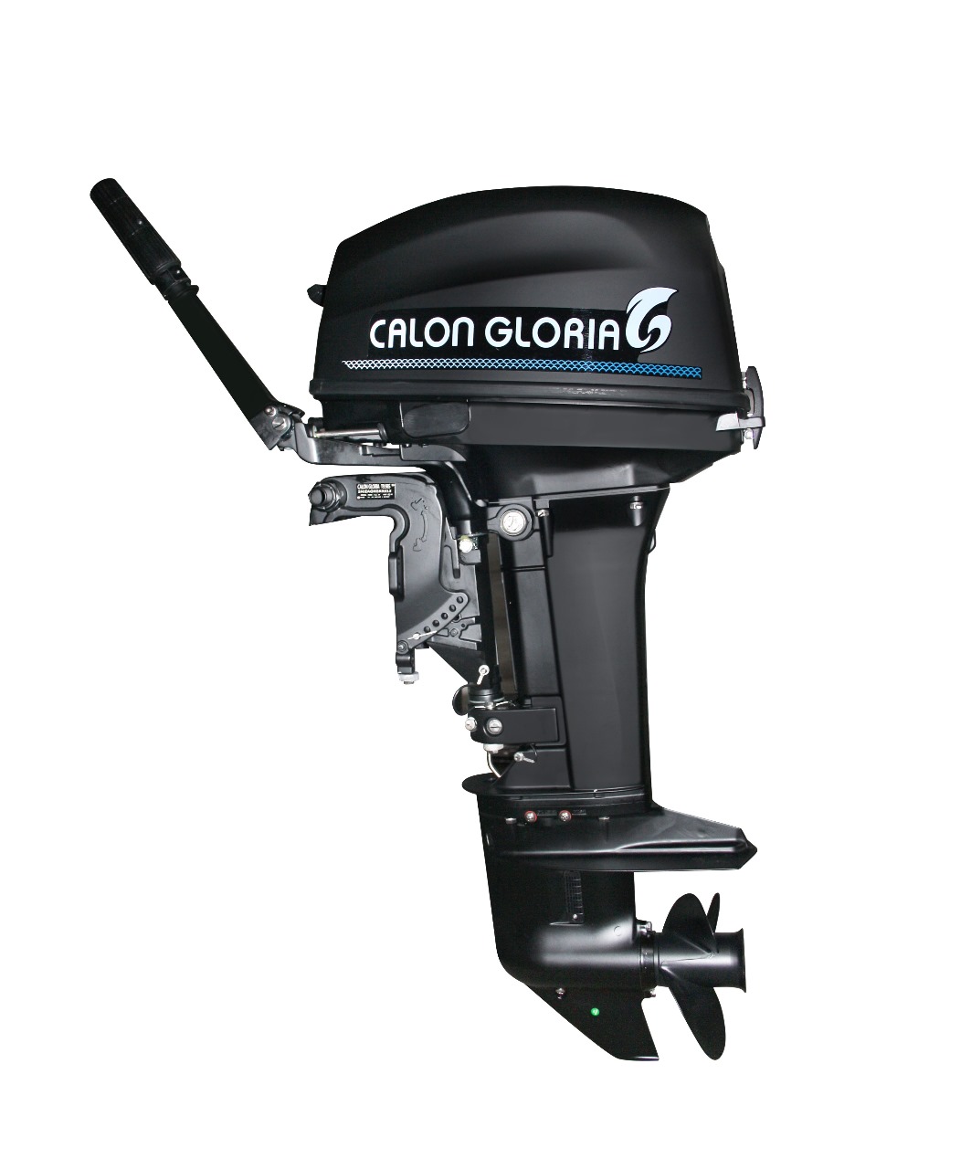 Calon Gloria F 9,9 BS MAX (9,9 л.с., 4 такта) Calon Gloria F 9,9 BS MAX (9,9 л.с., 4 такта)